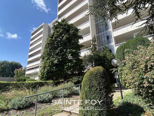 2021923 image3 - Sainte Foy Immobilier - Ce sont des agences immobilières dans l'Ouest Lyonnais spécialisées dans la location de maison ou d'appartement et la vente de propriété de prestige.