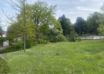 2023640 image1 - Sainte Foy Immobilier - Ce sont des agences immobilières dans l'Ouest Lyonnais spécialisées dans la location de maison ou d'appartement et la vente de propriété de prestige.