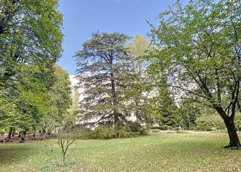 2023723 image1 - Sainte Foy Immobilier - Ce sont des agences immobilières dans l'Ouest Lyonnais spécialisées dans la location de maison ou d'appartement et la vente de propriété de prestige.