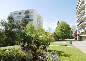 2021513 image1 - Sainte Foy Immobilier - Ce sont des agences immobilières dans l'Ouest Lyonnais spécialisées dans la location de maison ou d'appartement et la vente de propriété de prestige.