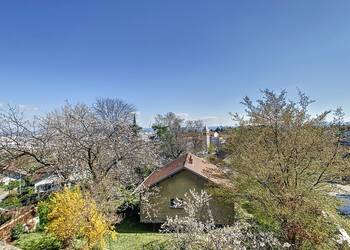 2022655 image1 - Sainte Foy Immobilier - Ce sont des agences immobilières dans l'Ouest Lyonnais spécialisées dans la location de maison ou d'appartement et la vente de propriété de prestige.