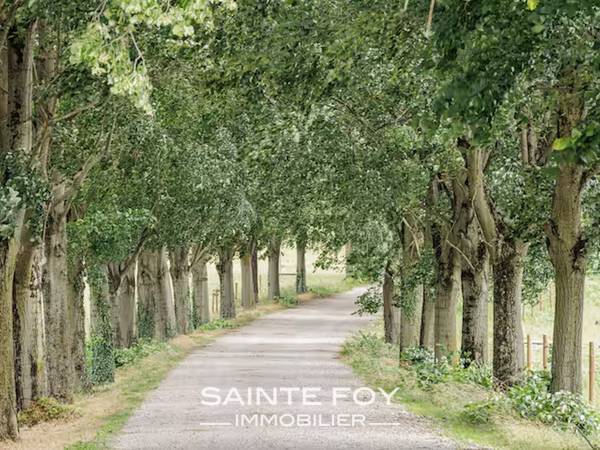2026394 image4 - Sainte Foy Immobilier - Ce sont des agences immobilières dans l'Ouest Lyonnais spécialisées dans la location de maison ou d'appartement et la vente de propriété de prestige.