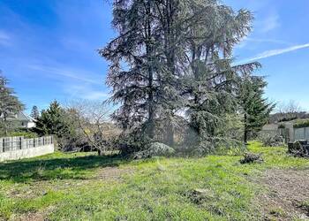 2026779 image1 - Sainte Foy Immobilier - Ce sont des agences immobilières dans l'Ouest Lyonnais spécialisées dans la location de maison ou d'appartement et la vente de propriété de prestige.