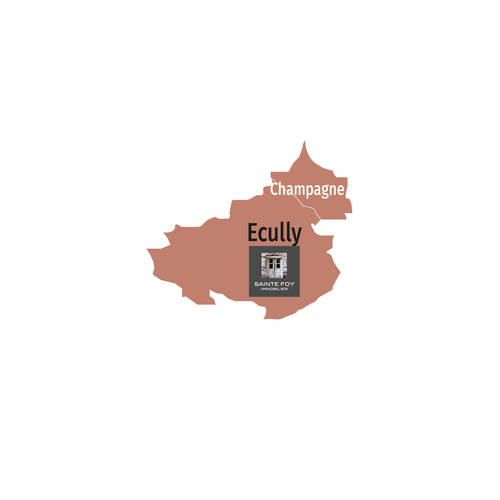 Zone ecully - Sainte Foy Immobilier - Ce sont des agences immobilières dans l'Ouest Lyonnais spécialisées dans la location de maison ou d'appartement et la vente de propriété de prestige.