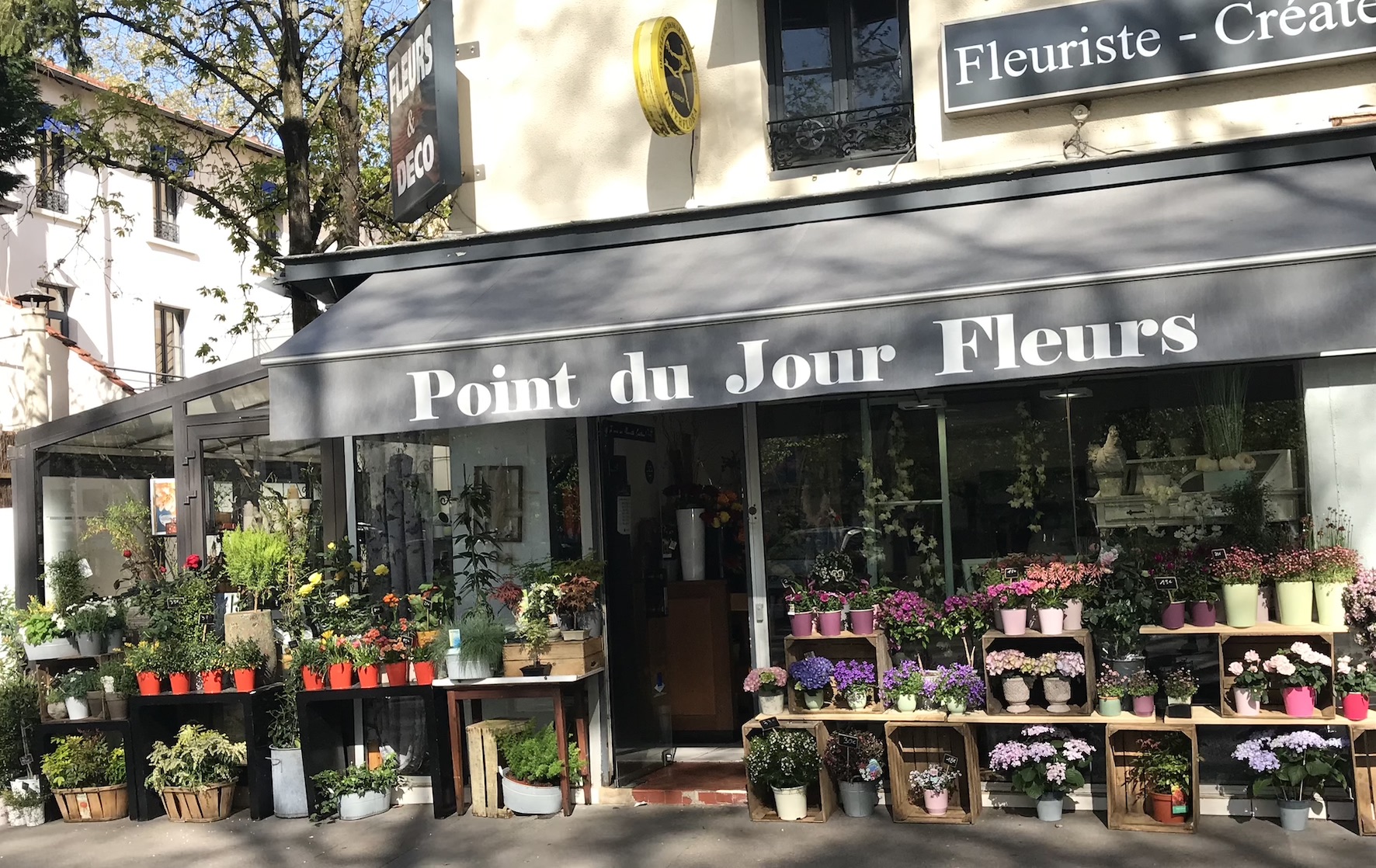 Point du jour fleurs lyon 5 Point du jour fleurs lyon 5